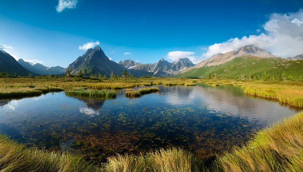 Discover Free Walking Tours Showcasing London"s Historic Neighborhoods