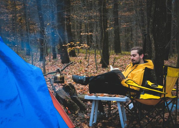 Discover the Best UK National Parks for In-Depth Wildlife Tours and Native Habitat Exploration!